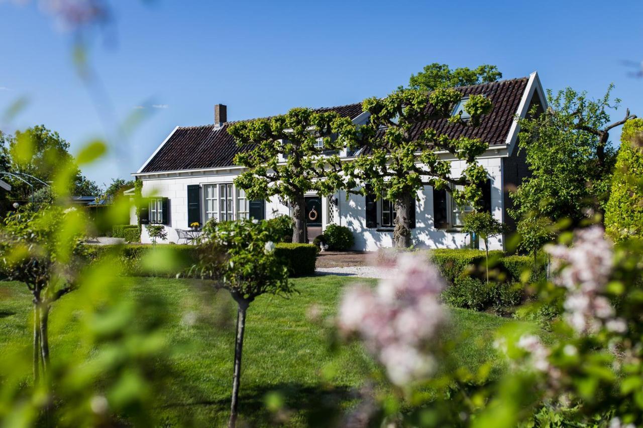 B&B Wilhelmina'S Cottage Ridderkerk Eksteriør billede
